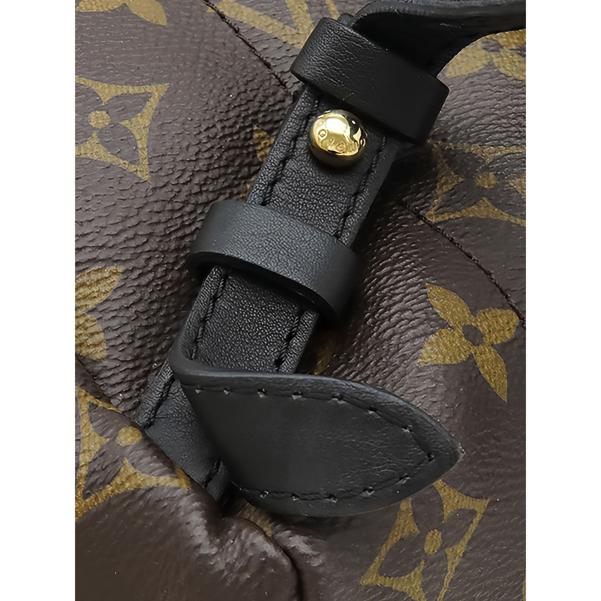Louis Vuitton Monogram Palm Springs PM — Brown