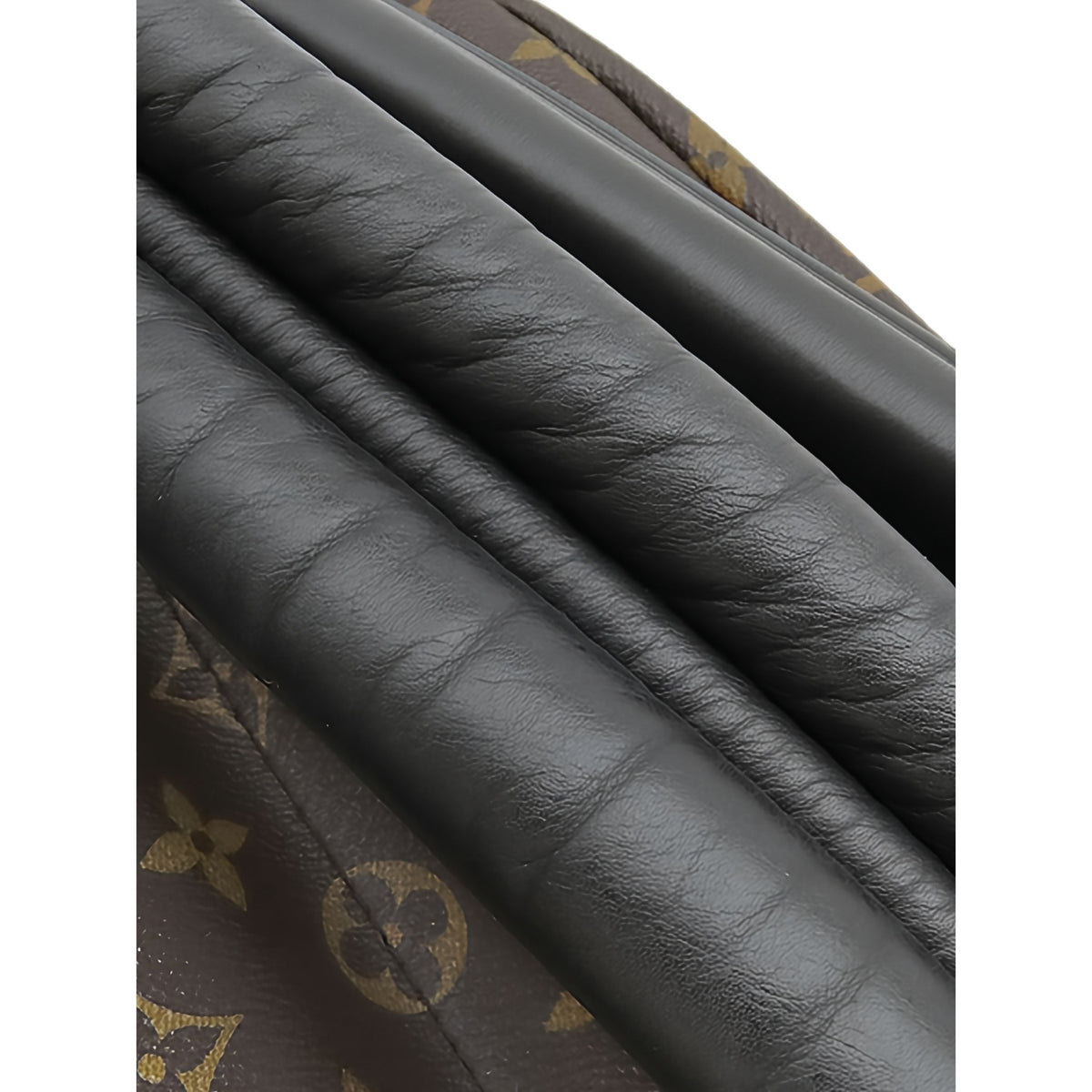 Louis Vuitton Monogram Palm Springs PM — Brown