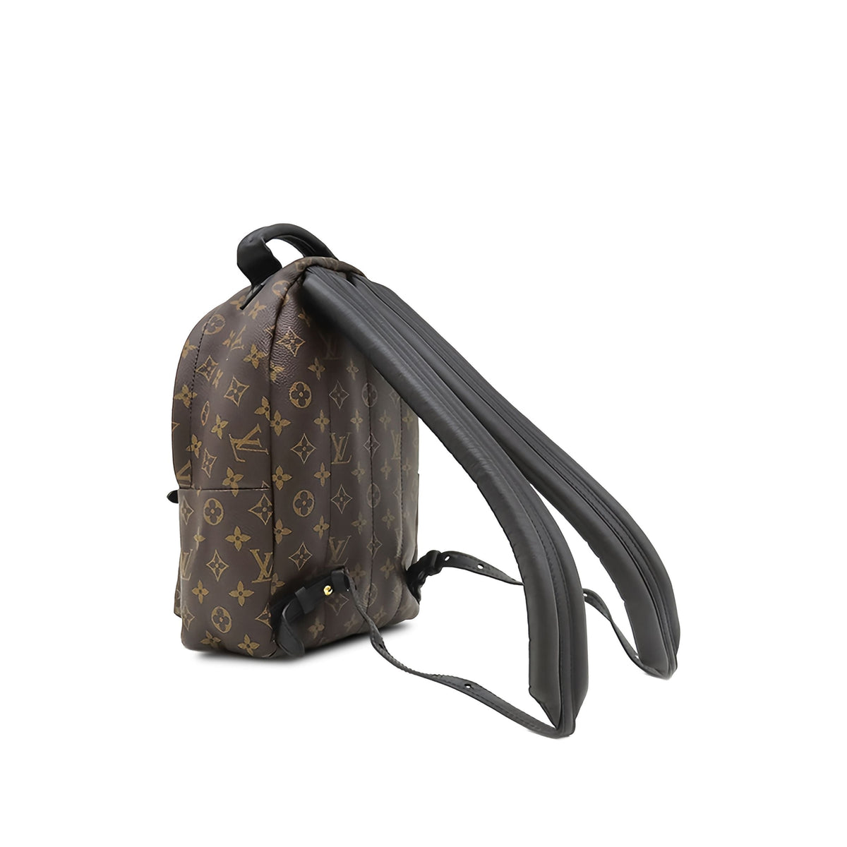 Louis Vuitton Monogram Palm Springs PM — Brown