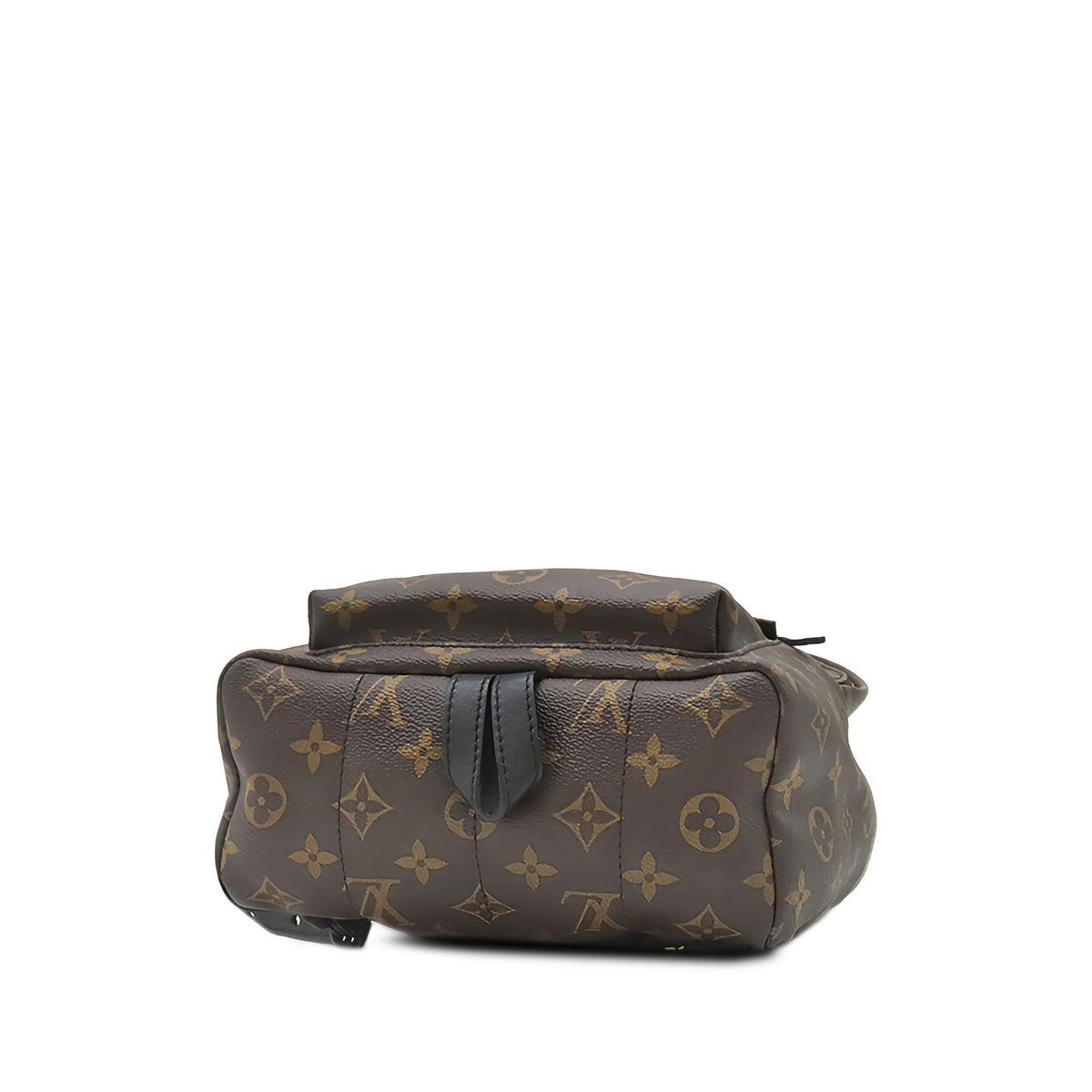 Louis Vuitton Monogram Palm Springs PM — Brown