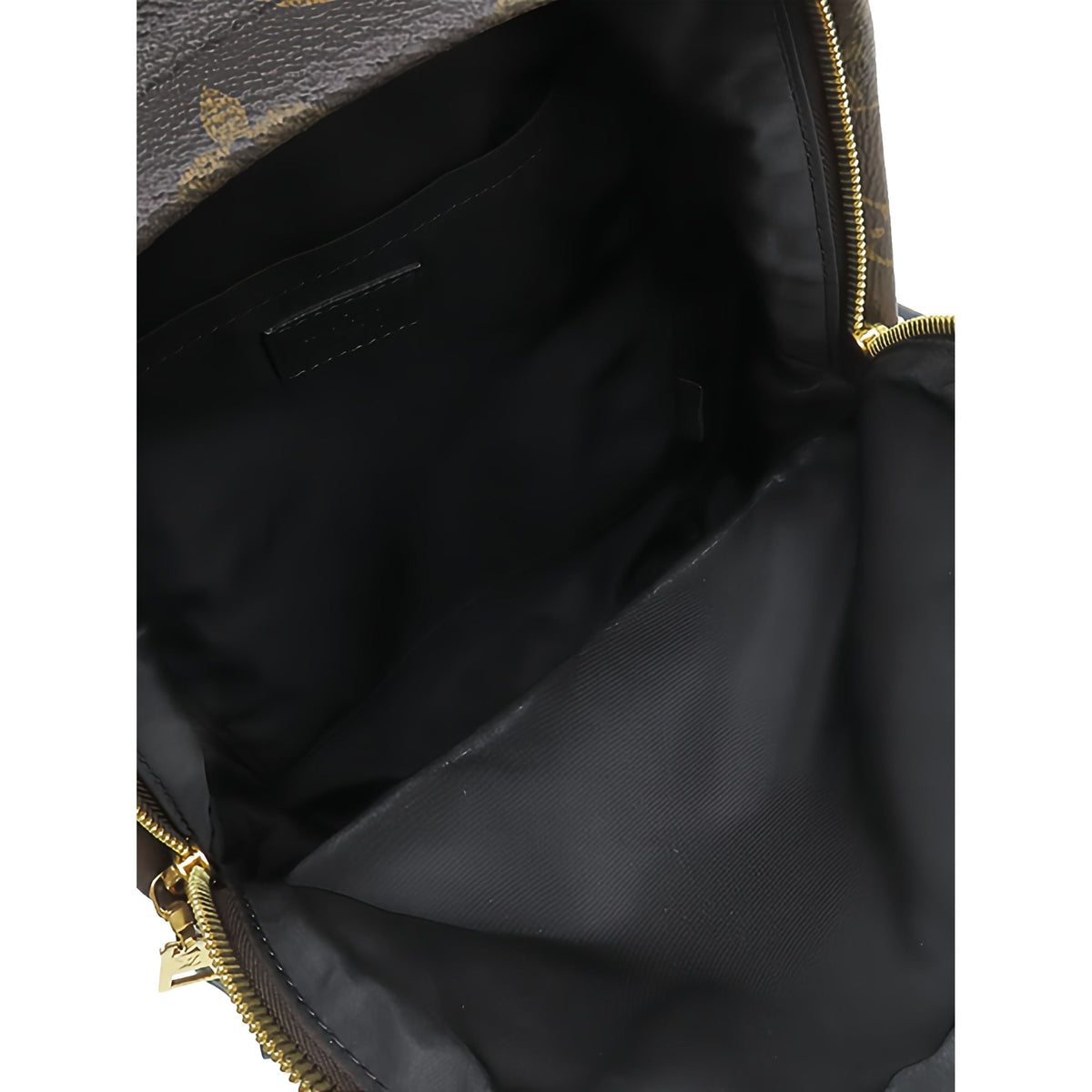 Louis Vuitton Monogram Palm Springs PM — Brown
