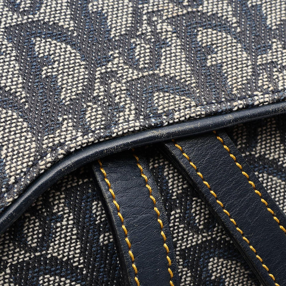 Dior Diorissimo Canvas Double Saddle Bag