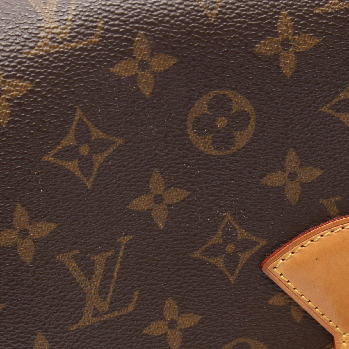 Louis Vuitton Monogram Sologne