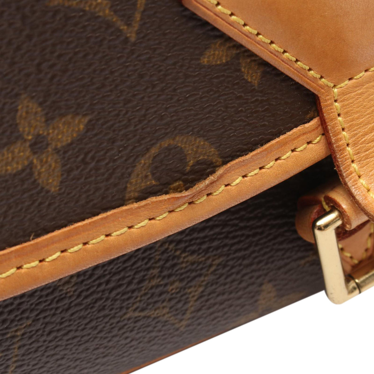 Louis Vuitton Monogram Sologne