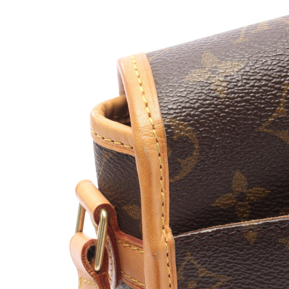 Louis Vuitton Monogram Sologne