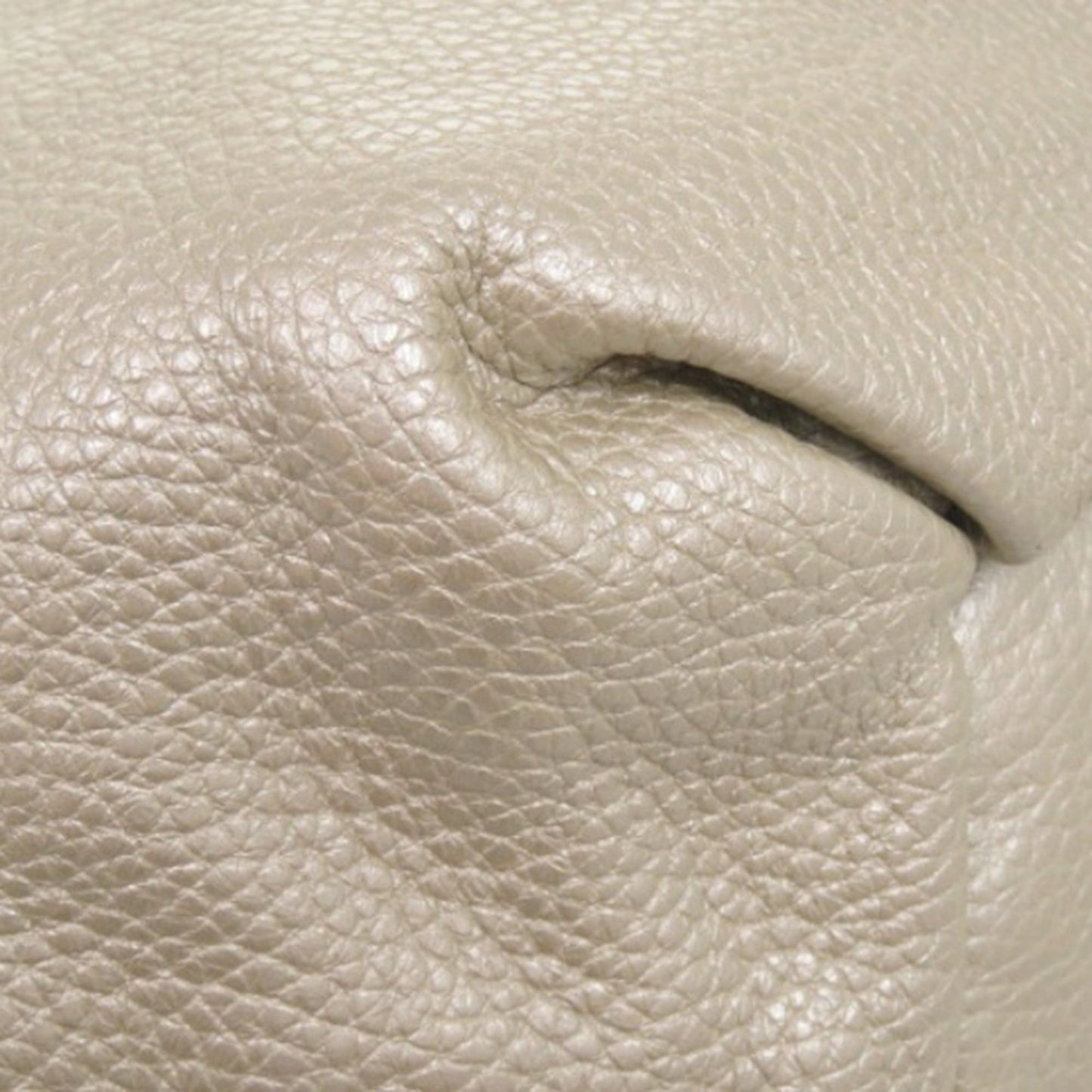 Celine Grained Metallic Calfskin Bittersweet Hobo