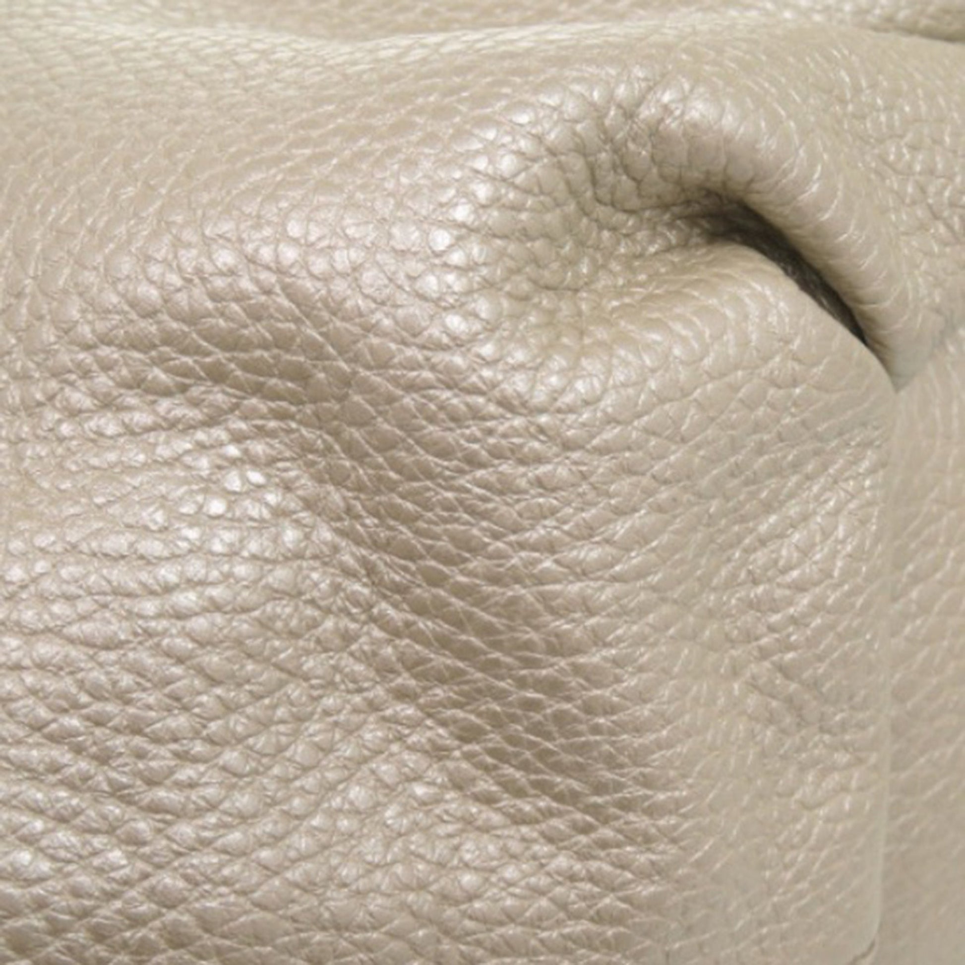 Celine Grained Metallic Calfskin Bittersweet Hobo