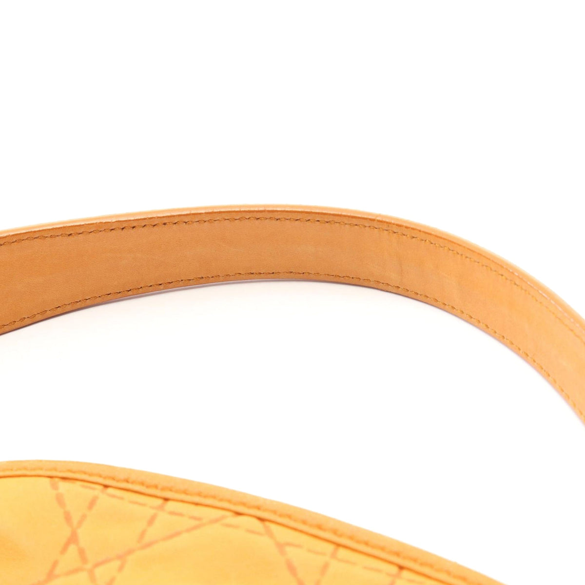 Dior Lambskin Cannage Hobo