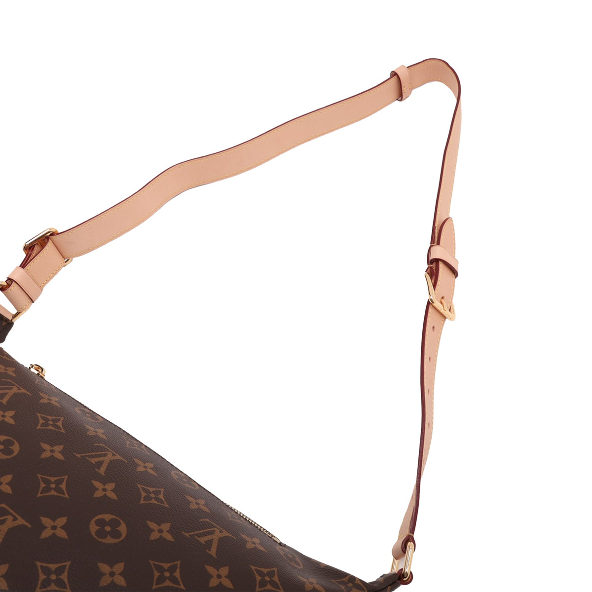 Louis Vuitton Monogram Bumbag — Brown