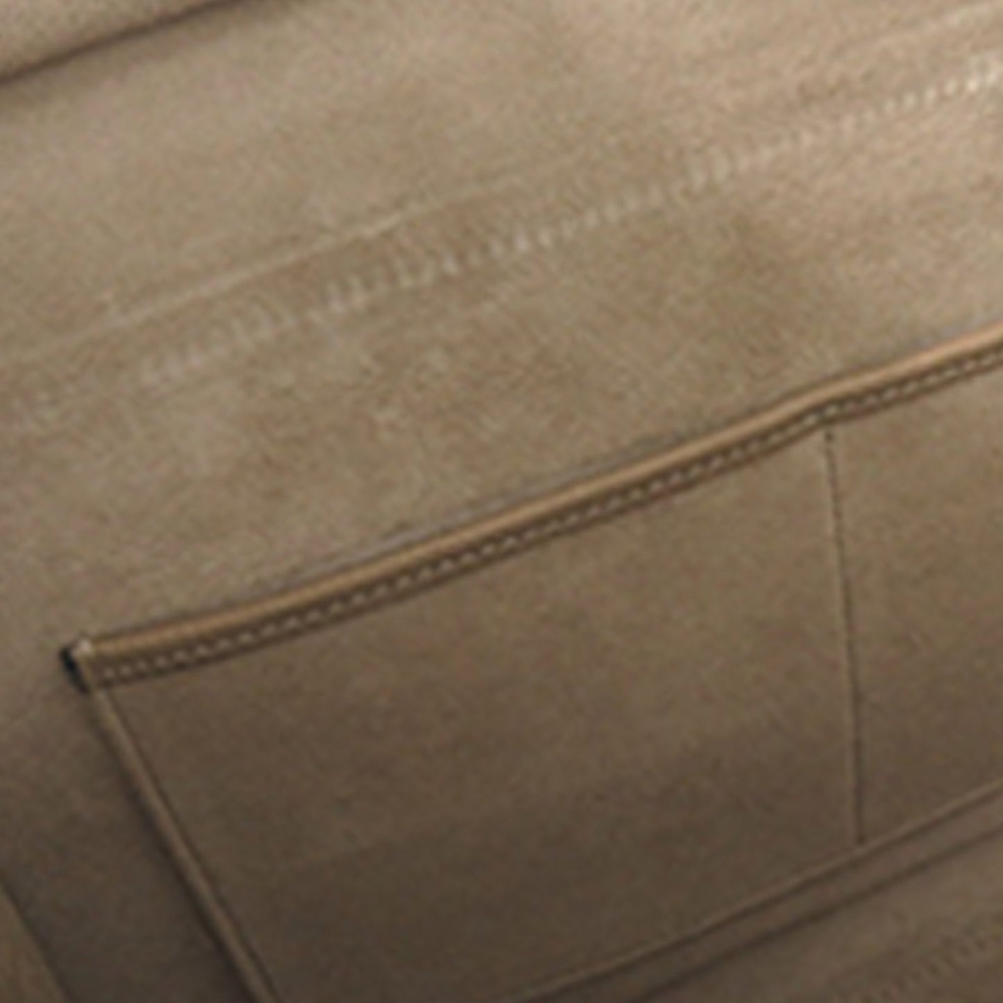 Micro Leather Luggage Tote