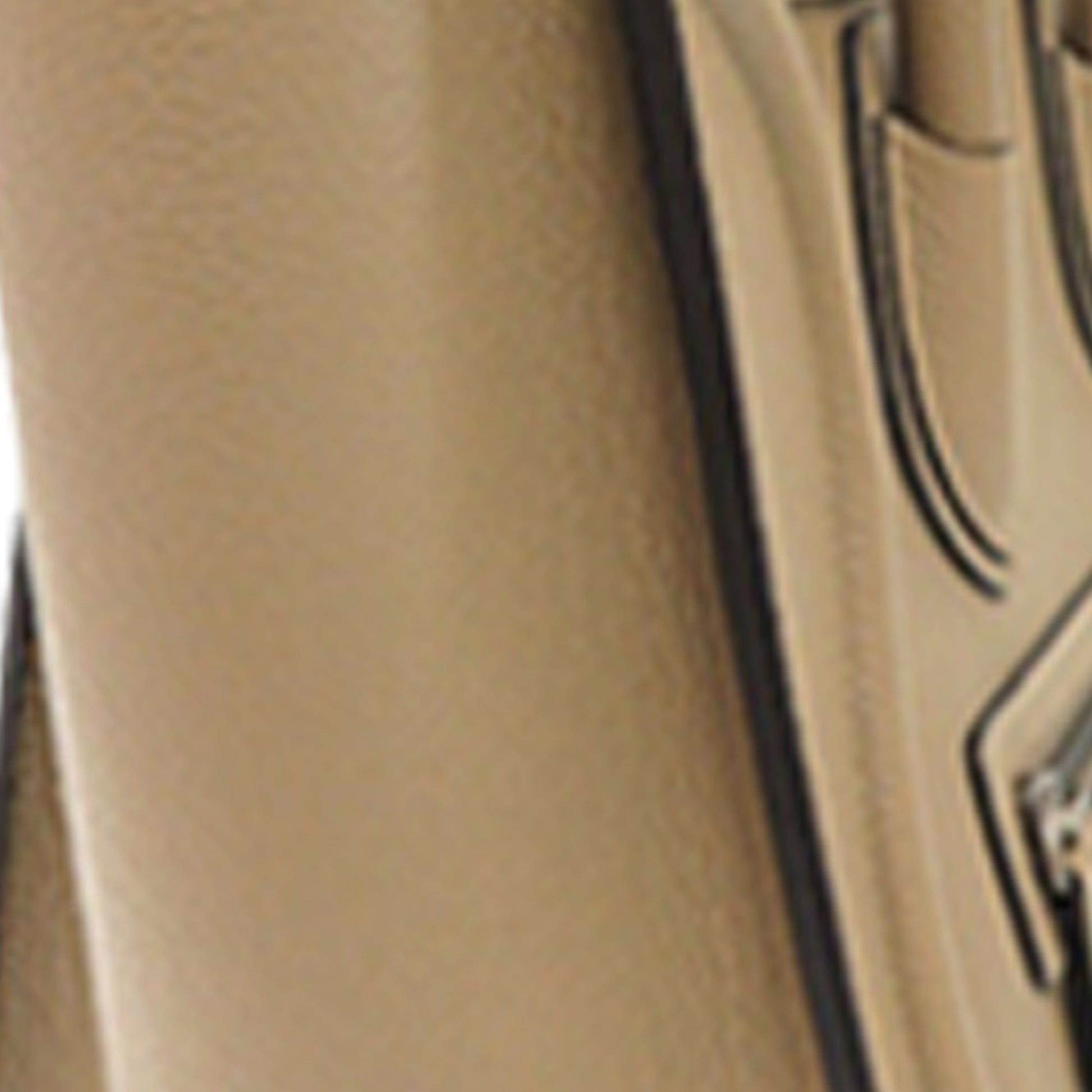 Micro Leather Luggage Tote
