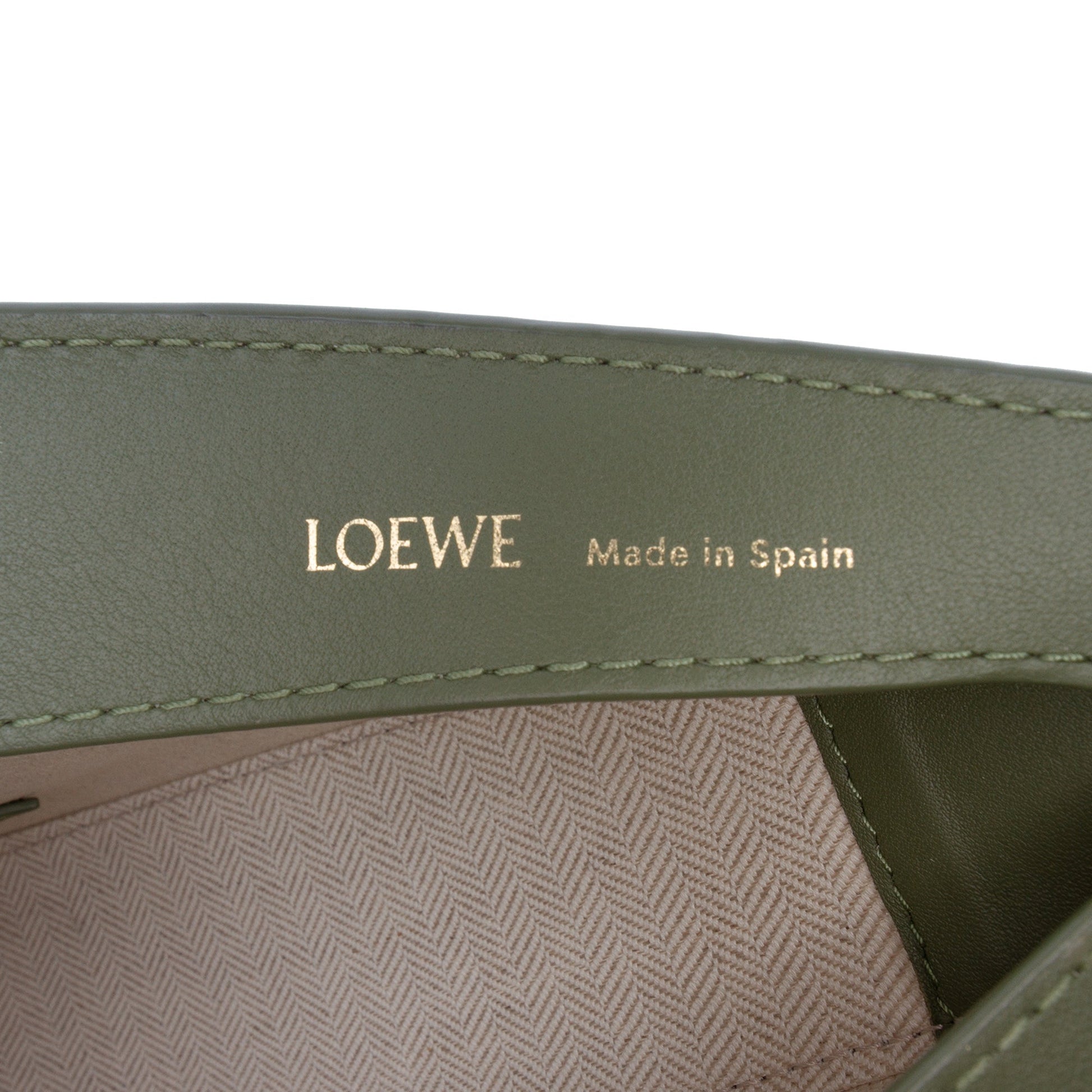 LOEWE Anagram Canvas Luna Hobo