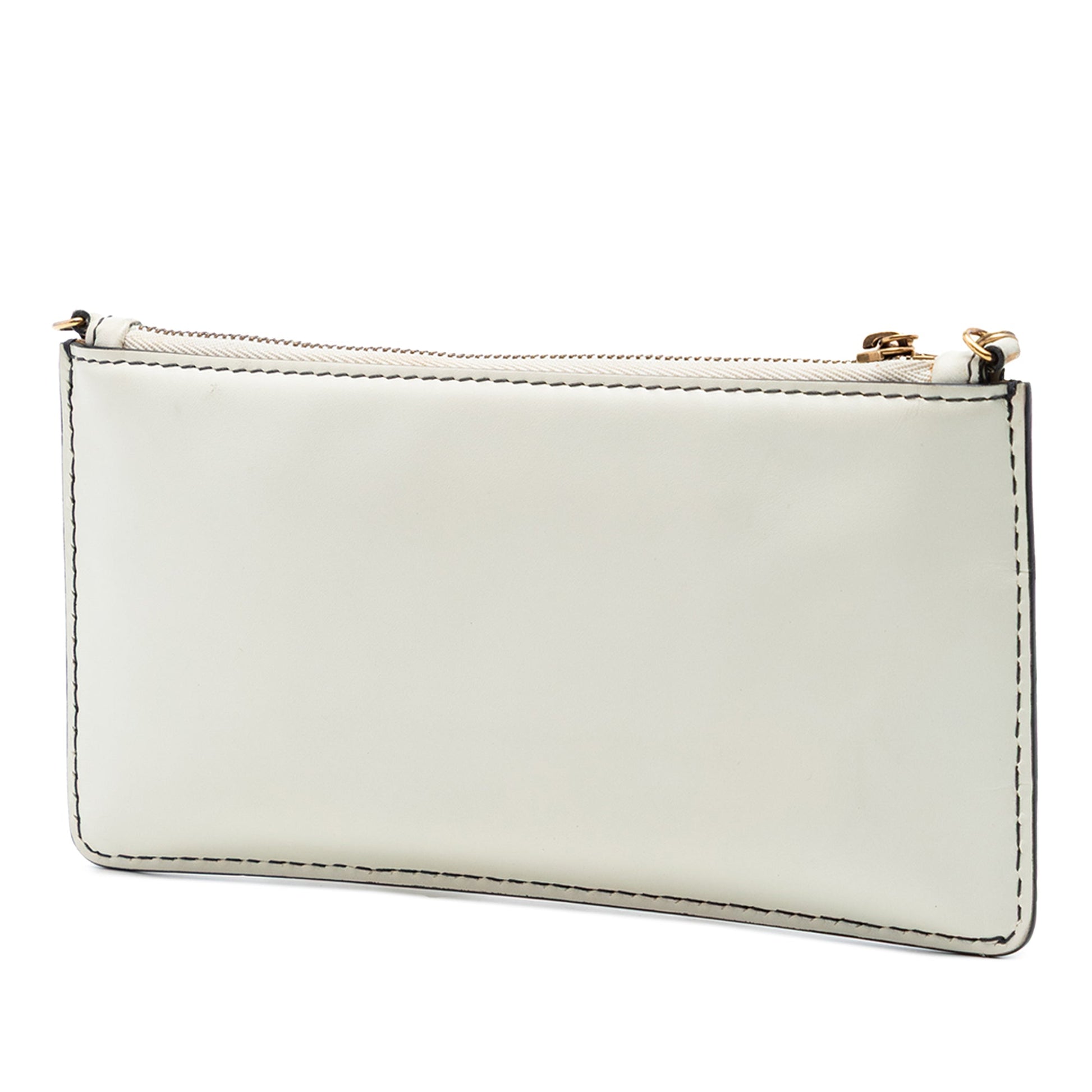 Dior Calfskin JAdior Croisiere Chain Pouch