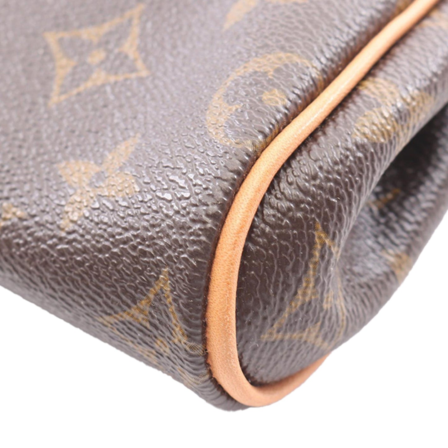 Louis Vuitton Monogram Eva