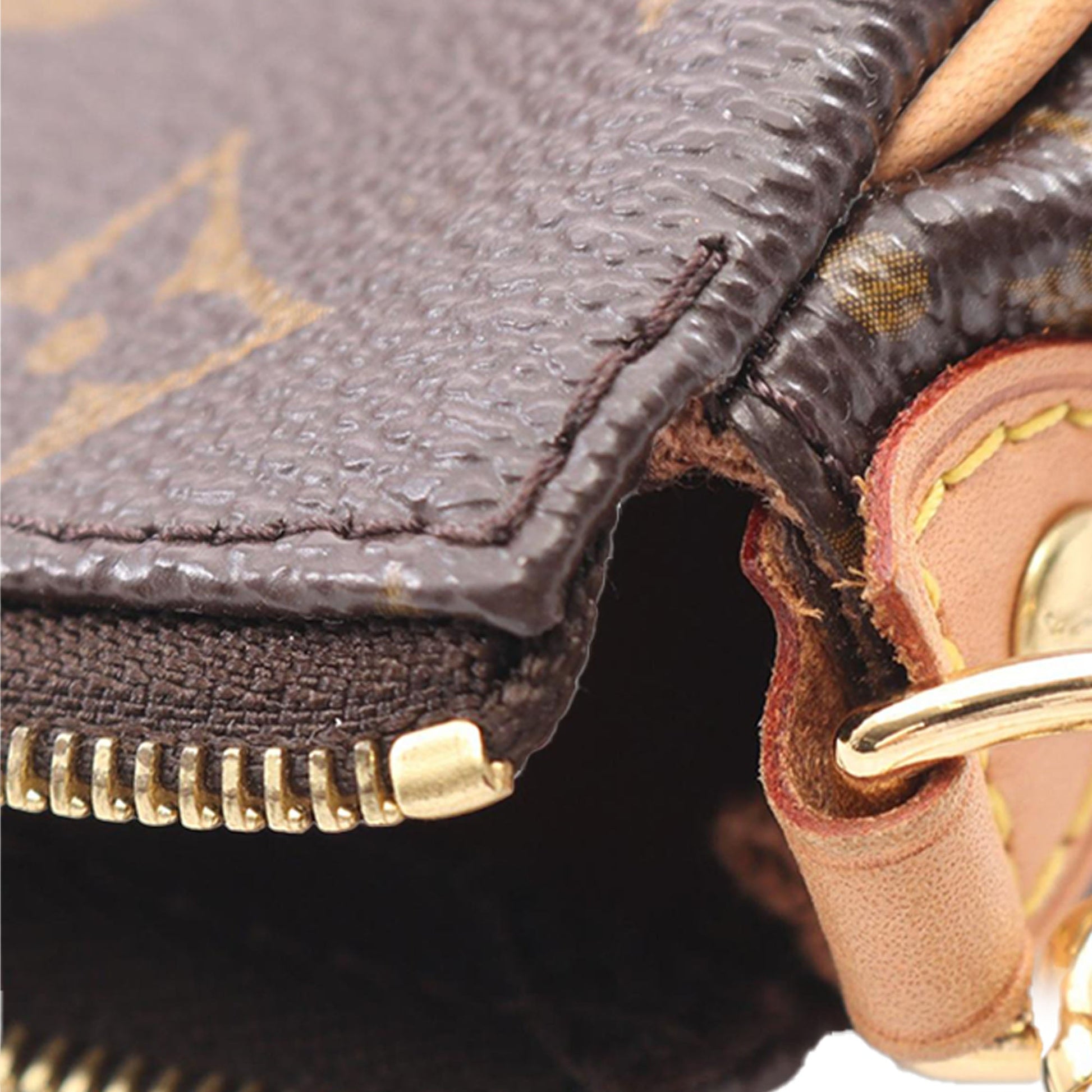 Louis Vuitton Monogram Eva