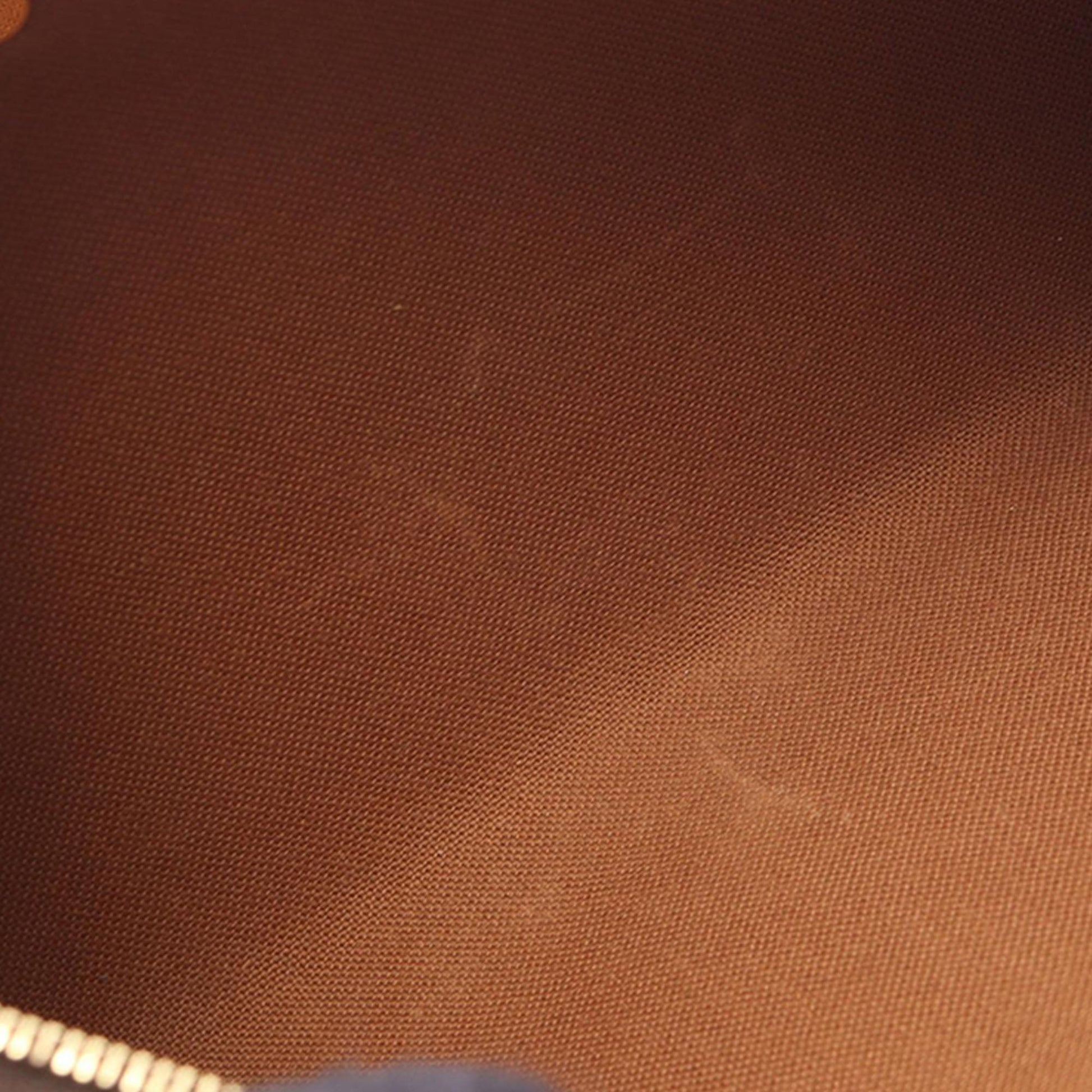 Louis Vuitton Monogram Eva