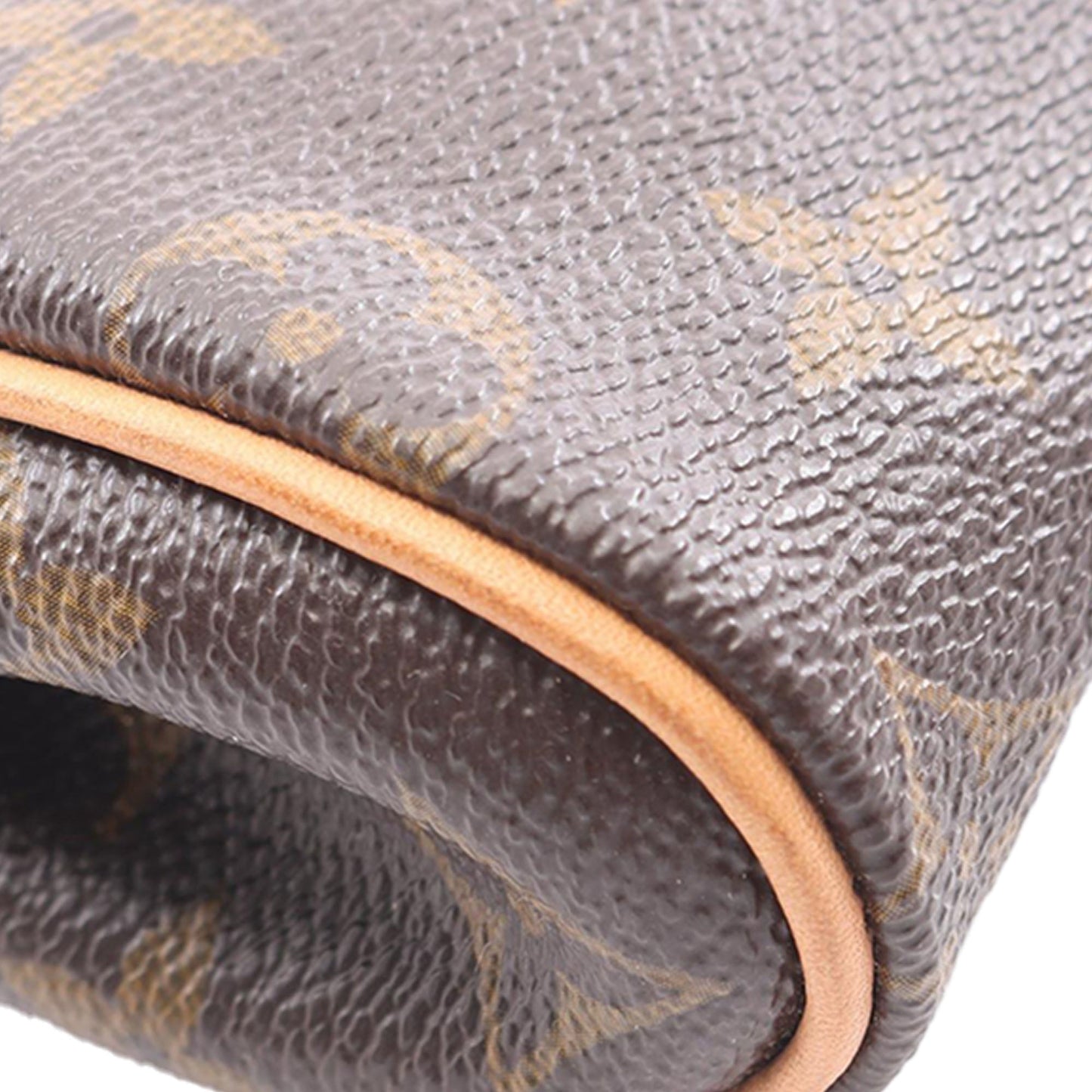 Louis Vuitton Monogram Eva