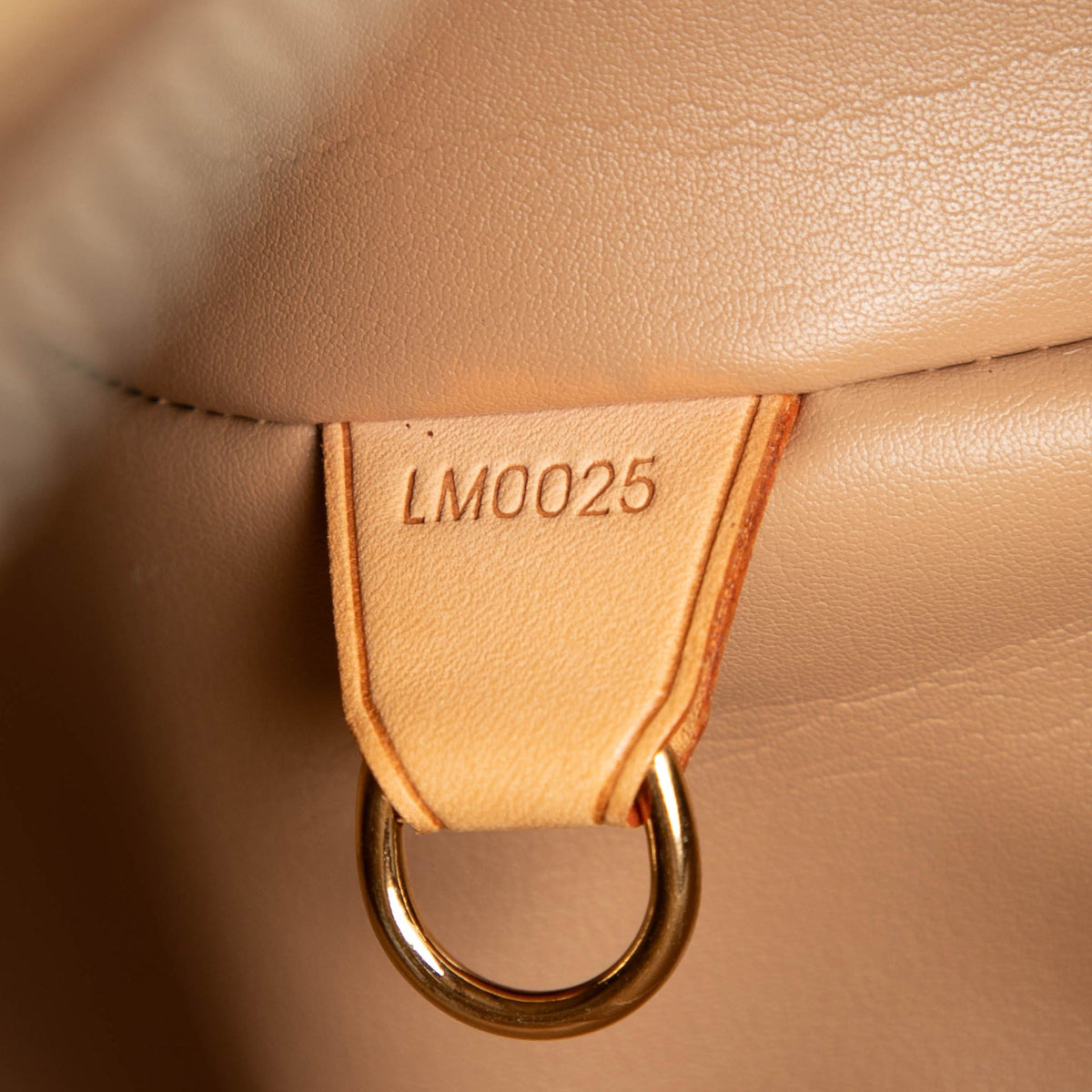 Louis Vuitton Monogram Vernis Houston