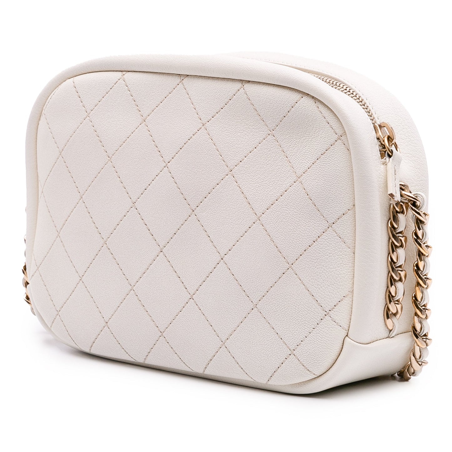 Chanel Medium Quilted Goatskin Casual Trip Camera Bag