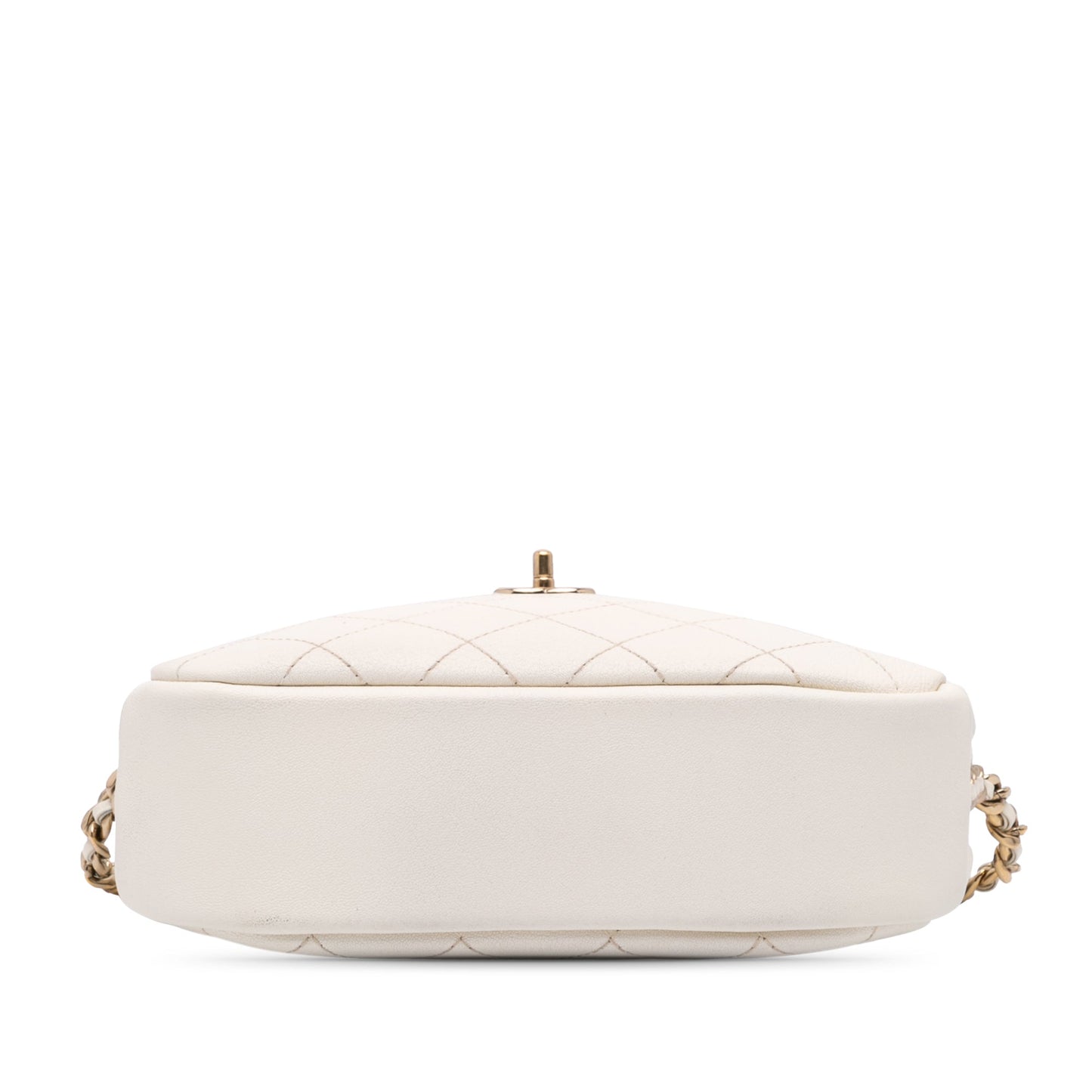 Chanel Medium Quilted Goatskin Casual Trip Camera Bag