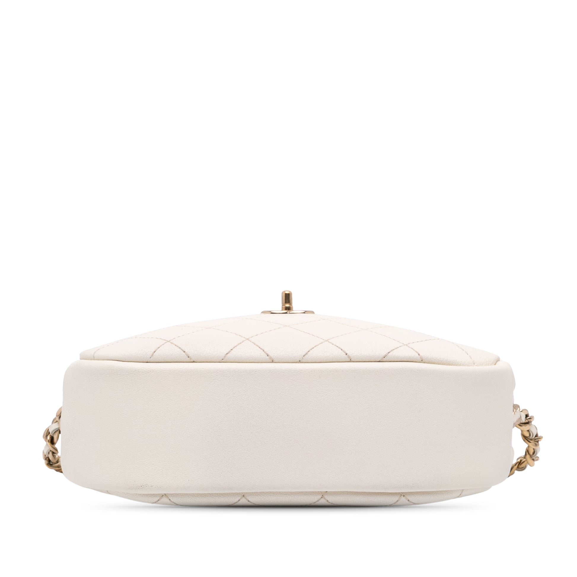 Chanel Medium Quilted Goatskin Casual Trip Camera Bag