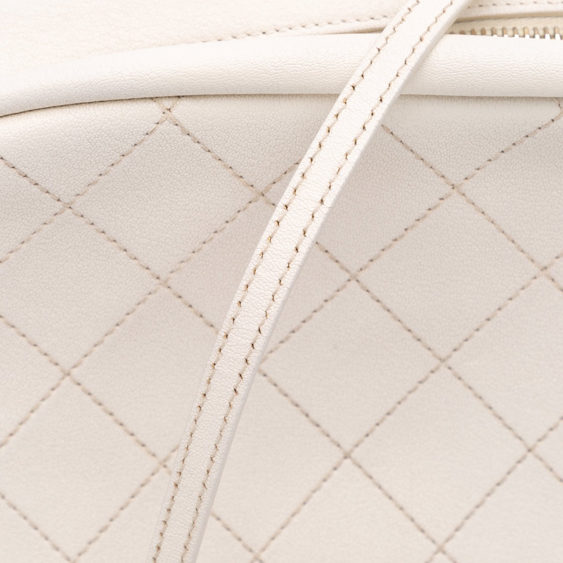 Chanel Medium Quilted Goatskin Casual Trip Camera Bag