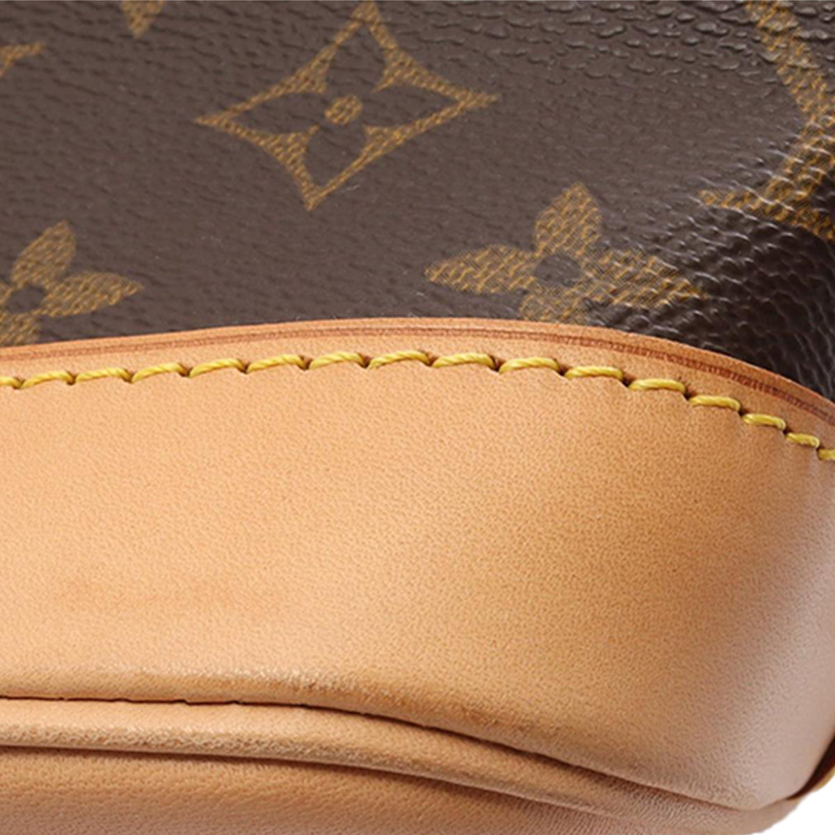 Louis Vuitton Monogram Alma PM — Brown