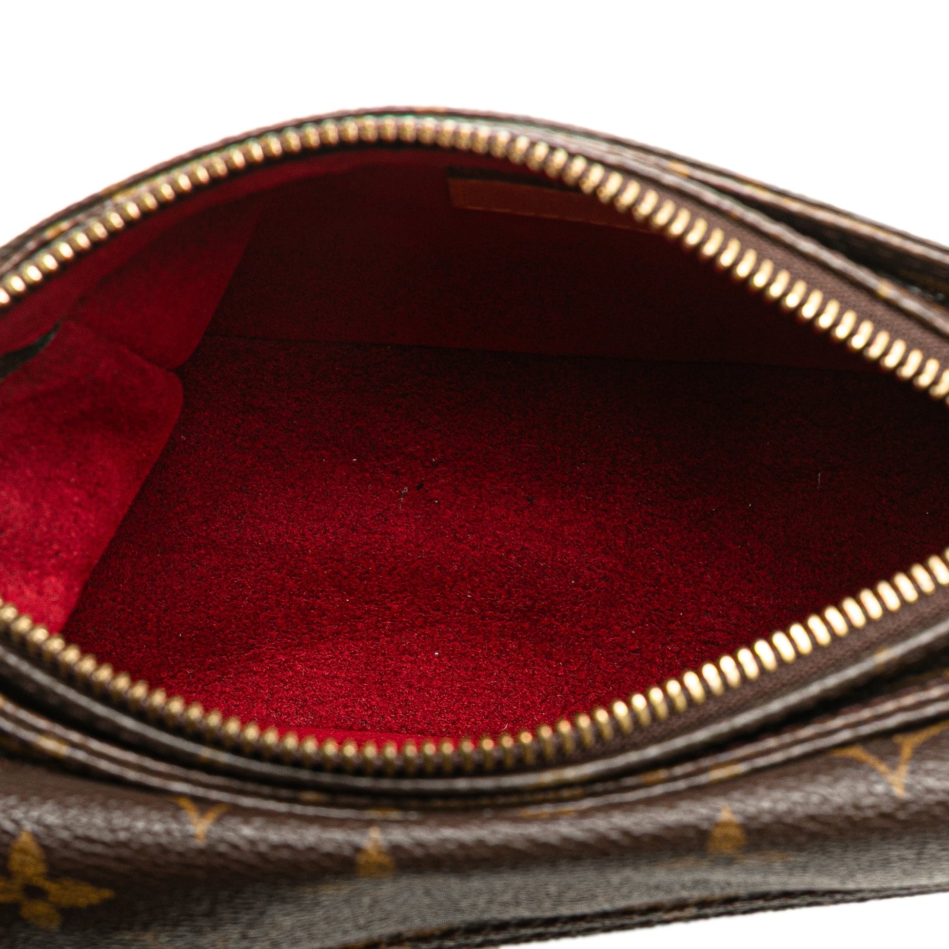 Louis Vuitton Monogram Viva Cite PM
