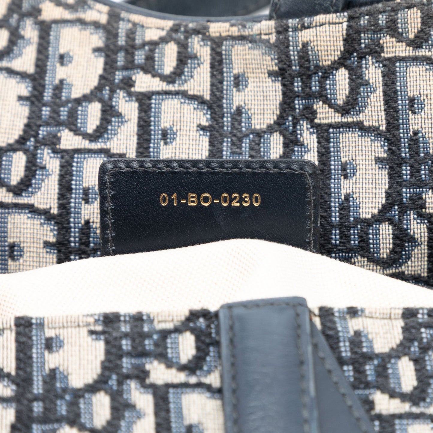 Dior Oblique Canvas Saddle Bag