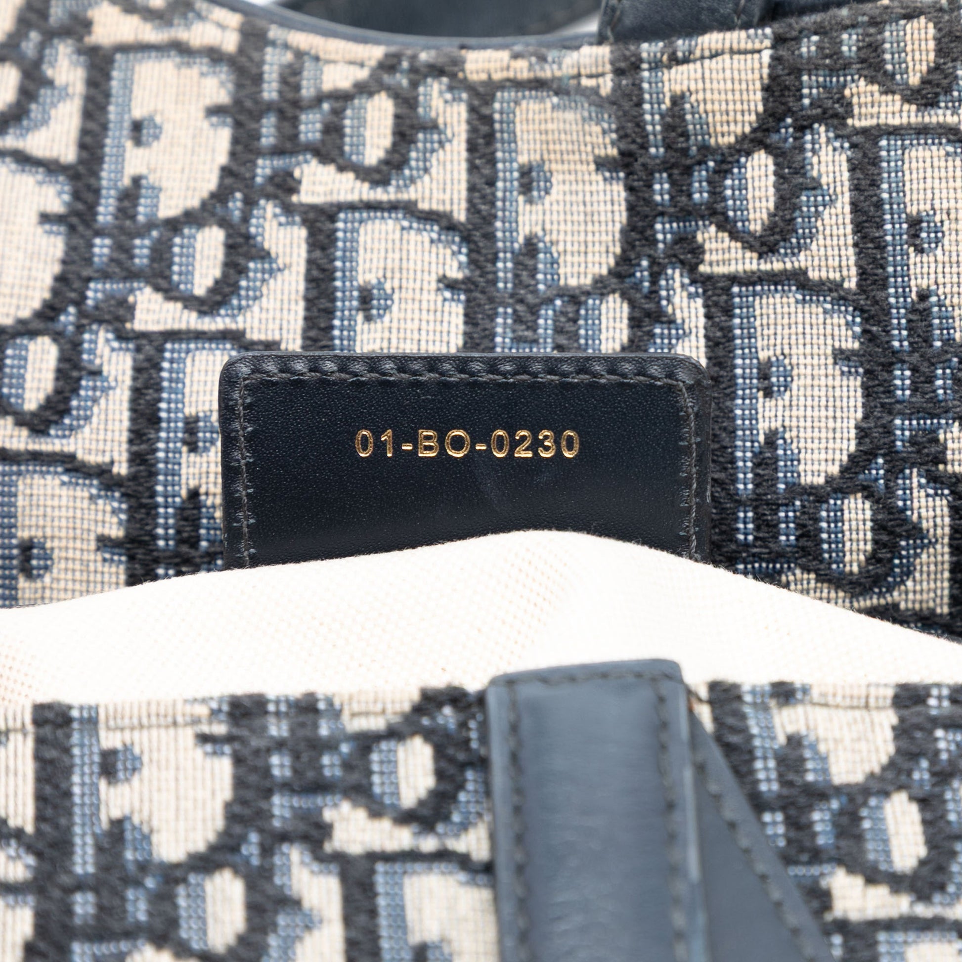 Dior Oblique Canvas Saddle Bag