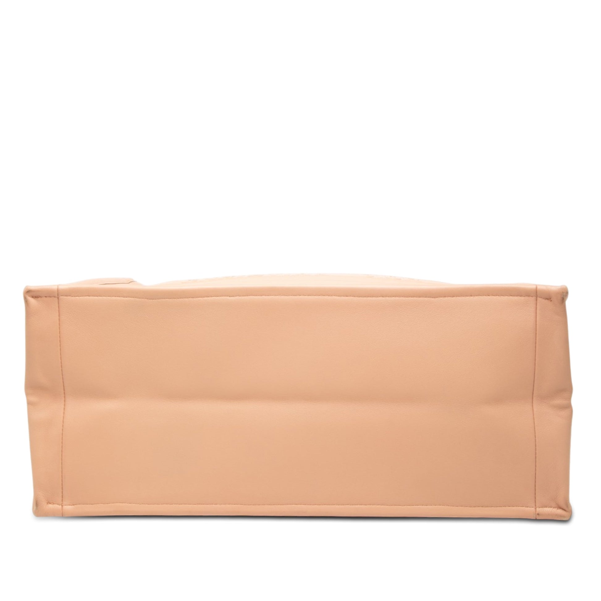 Dior Large Embossed Calfskin Book Tote