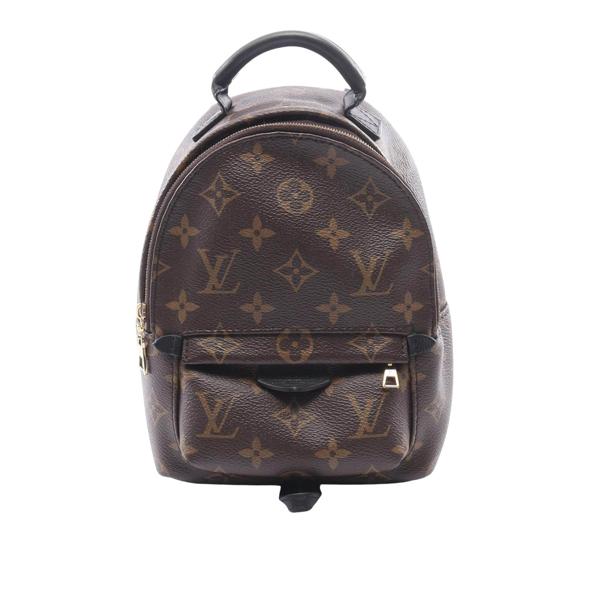 Louis Vuitton Monogram Mini Palm Springs