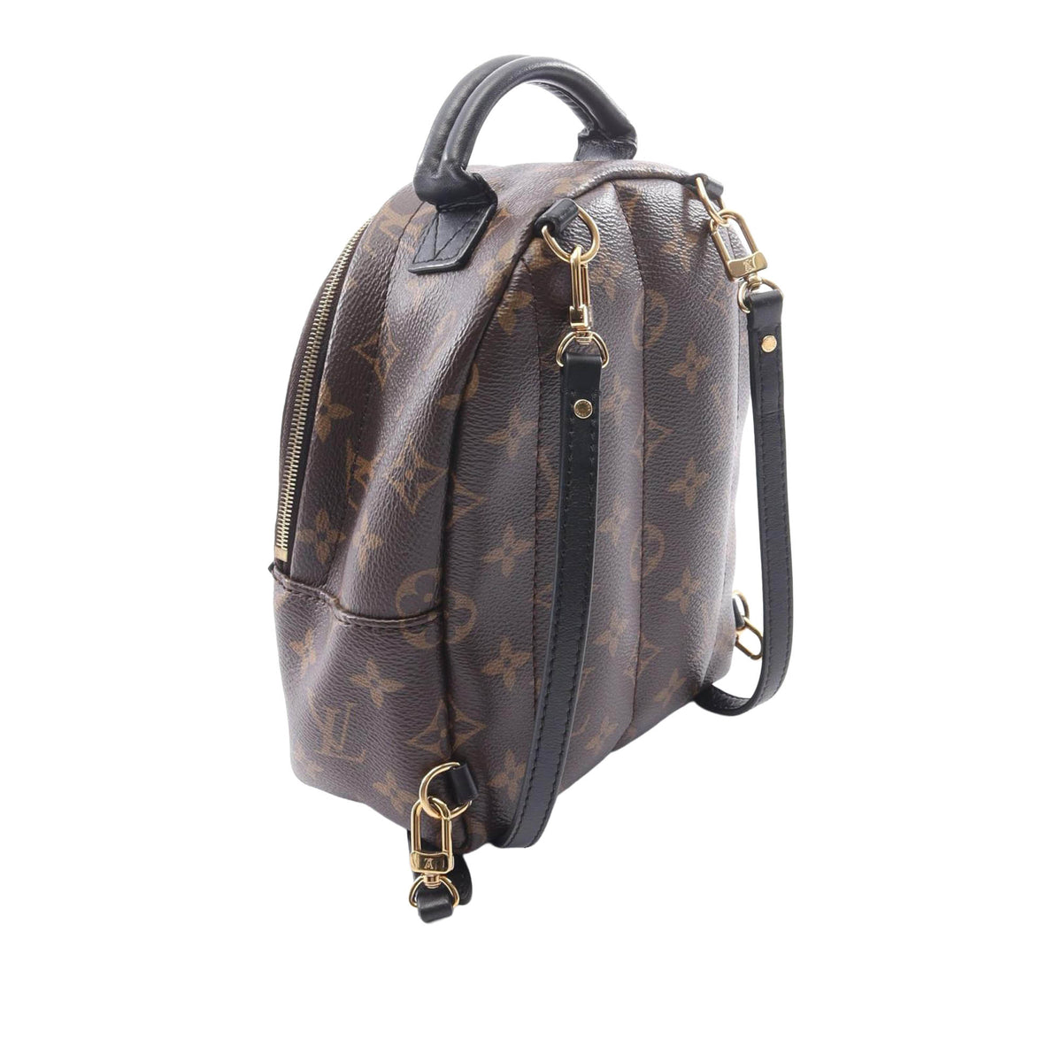 Louis Vuitton Monogram Mini Palm Springs
