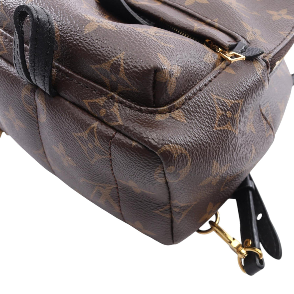 Louis Vuitton Monogram Mini Palm Springs