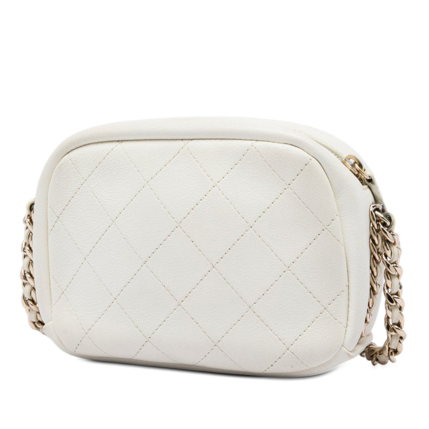 Chanel Small Quilted Goatskin Casual Trip Camera Bag