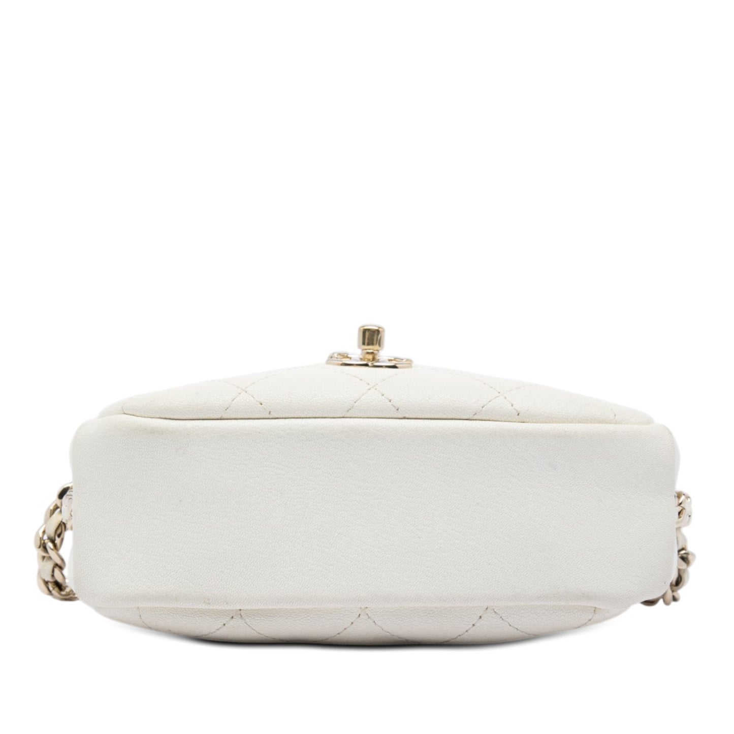 Chanel Small Quilted Goatskin Casual Trip Camera Bag