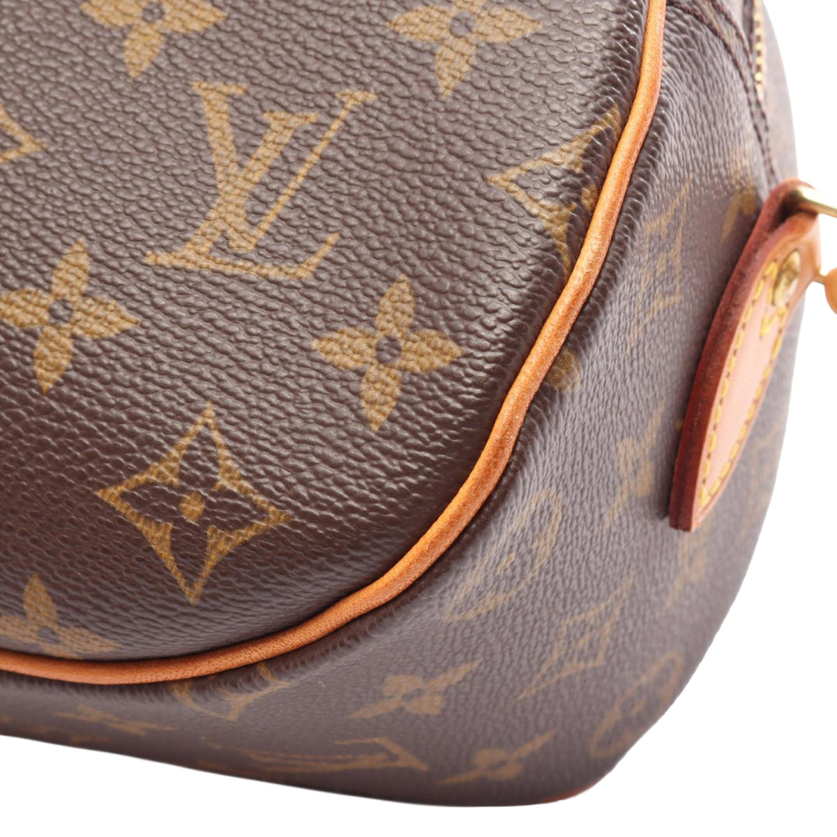 Louis Vuitton Monogram Blois