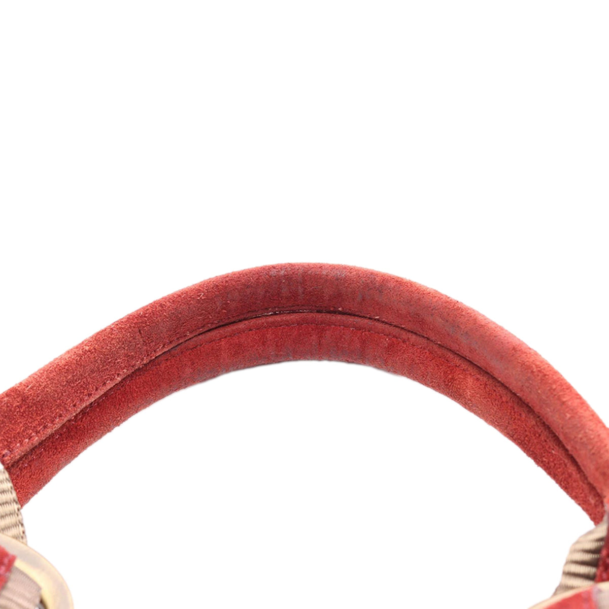 Dior Diorissimo Trotter Canvas Tote