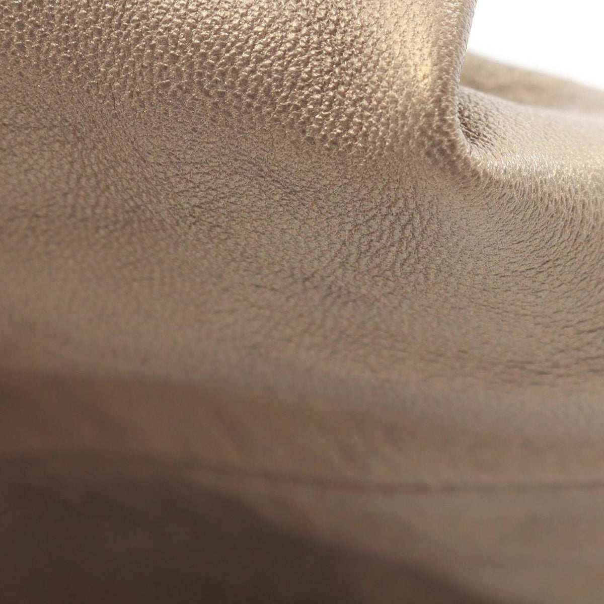 LOEWE Metallic Nappa Aire — Gold