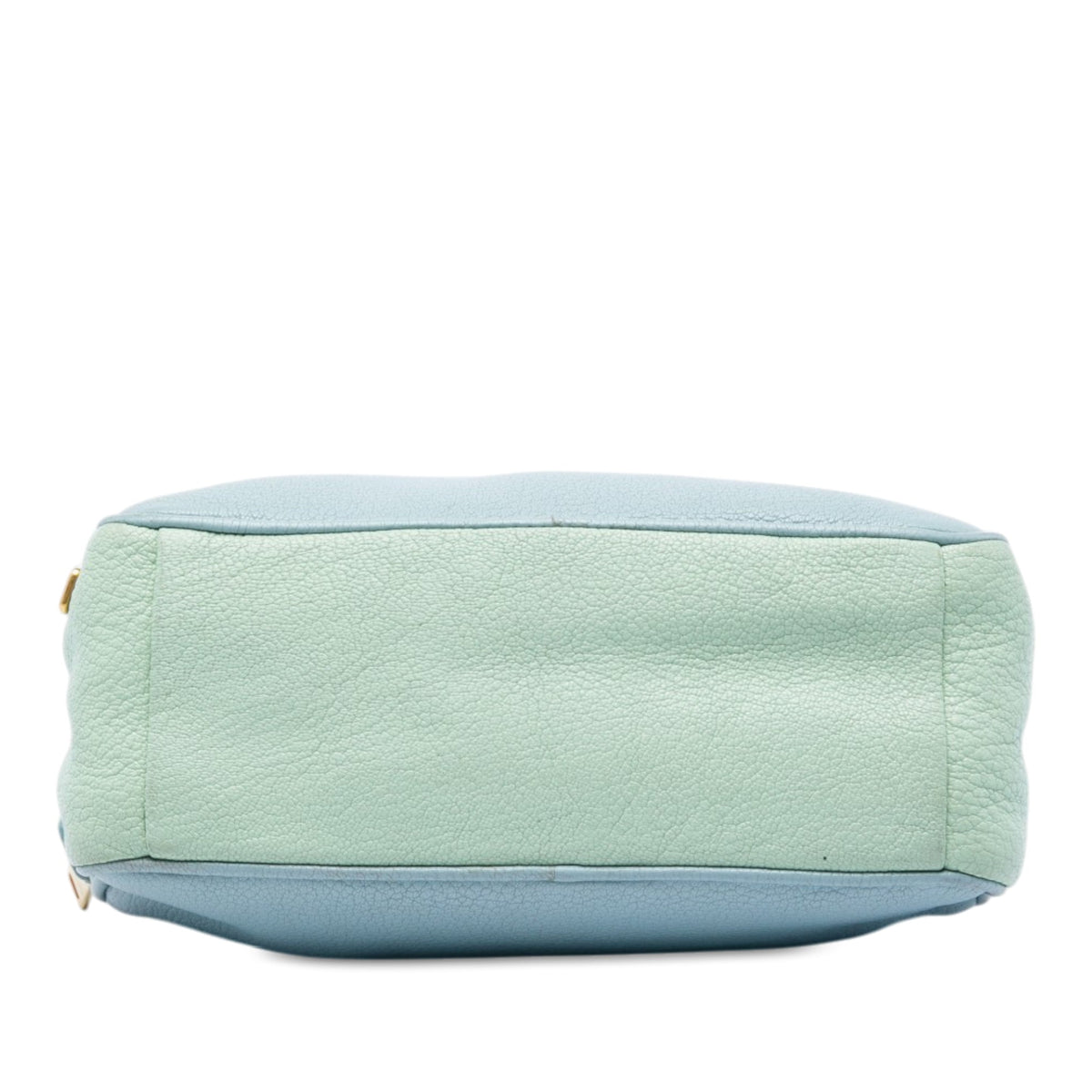 Miu Miu Tricolor Goatskin Madras Double Zip Camera Bag