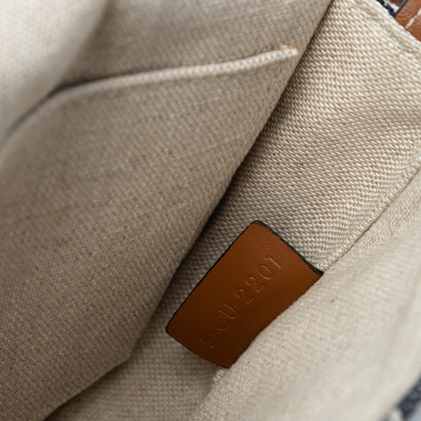 Celine Mini Triomphe Canvas and Calfskin Besace Crossbody