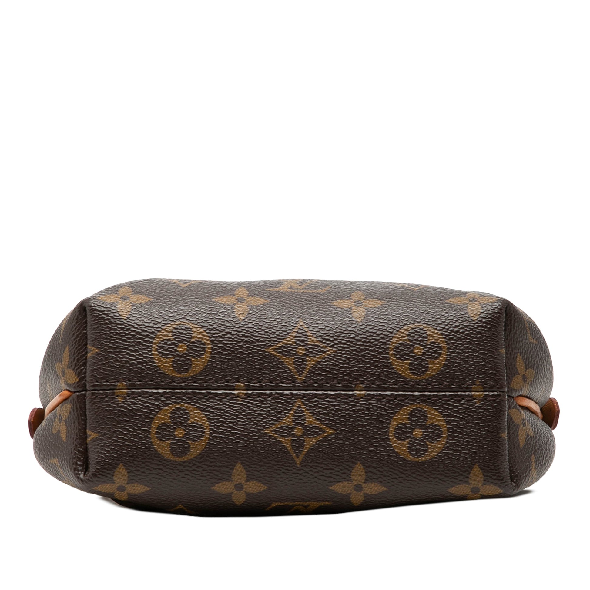 Louis Vuitton Monogram Nano Turenne