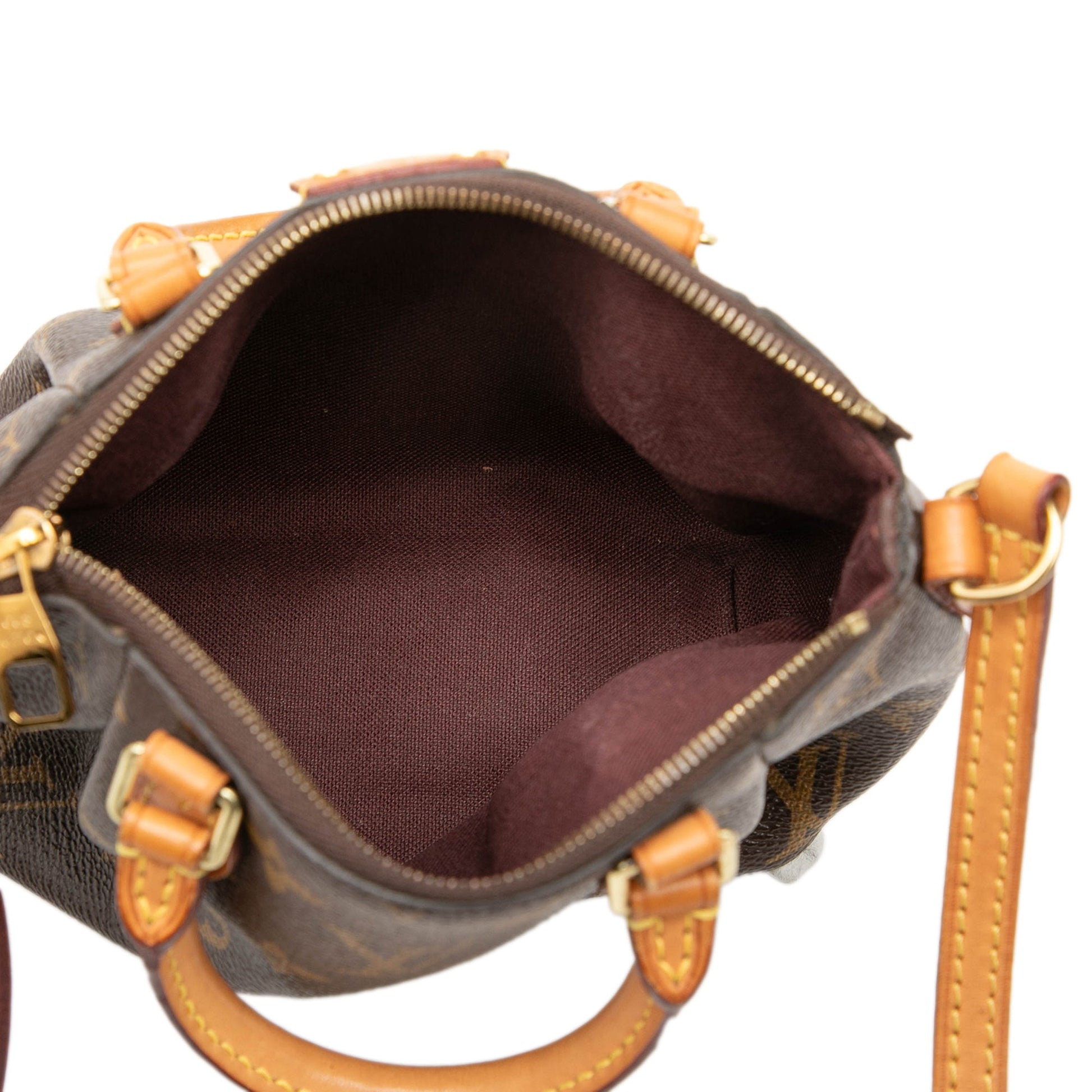 Louis Vuitton Monogram Nano Turenne
