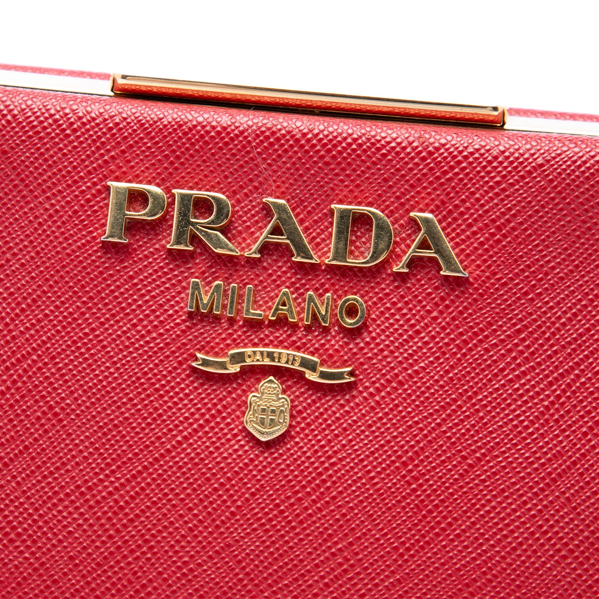 Prada Saffiano and City Calf Light Frame Crossbody