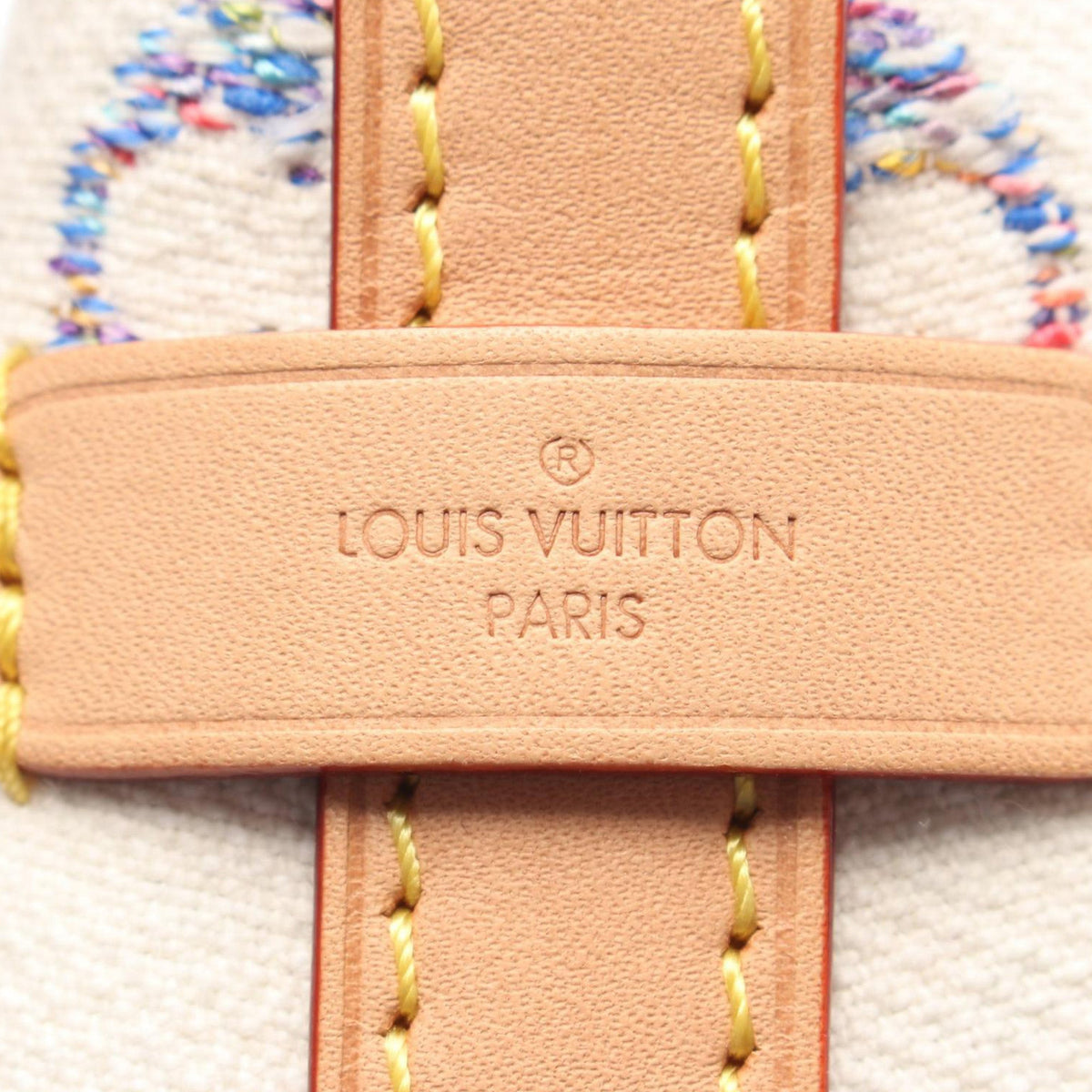 Louis Vuitton Monogram Jacquard Caryall NM PM
