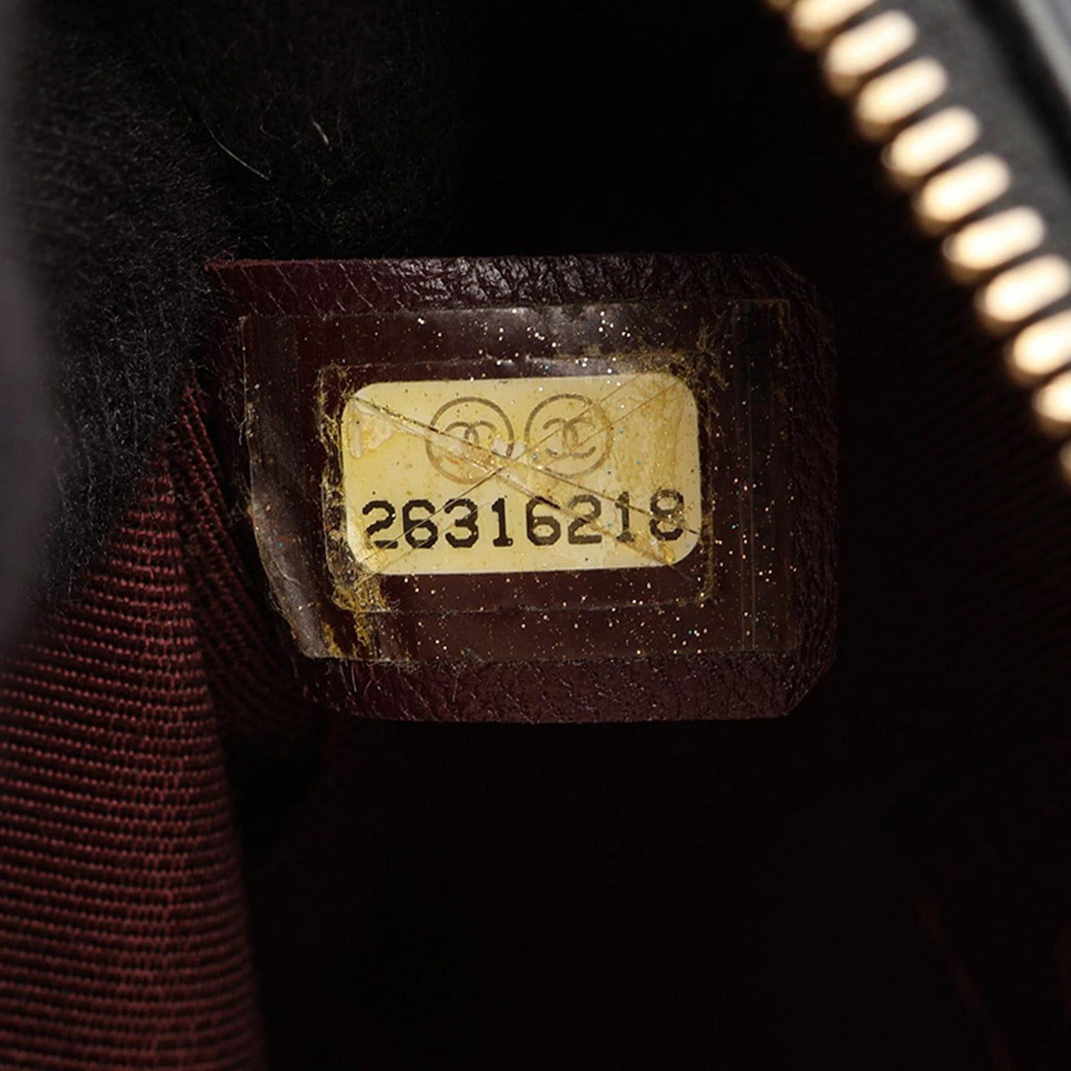 Chanel Button Up Double Zip Camera Bag