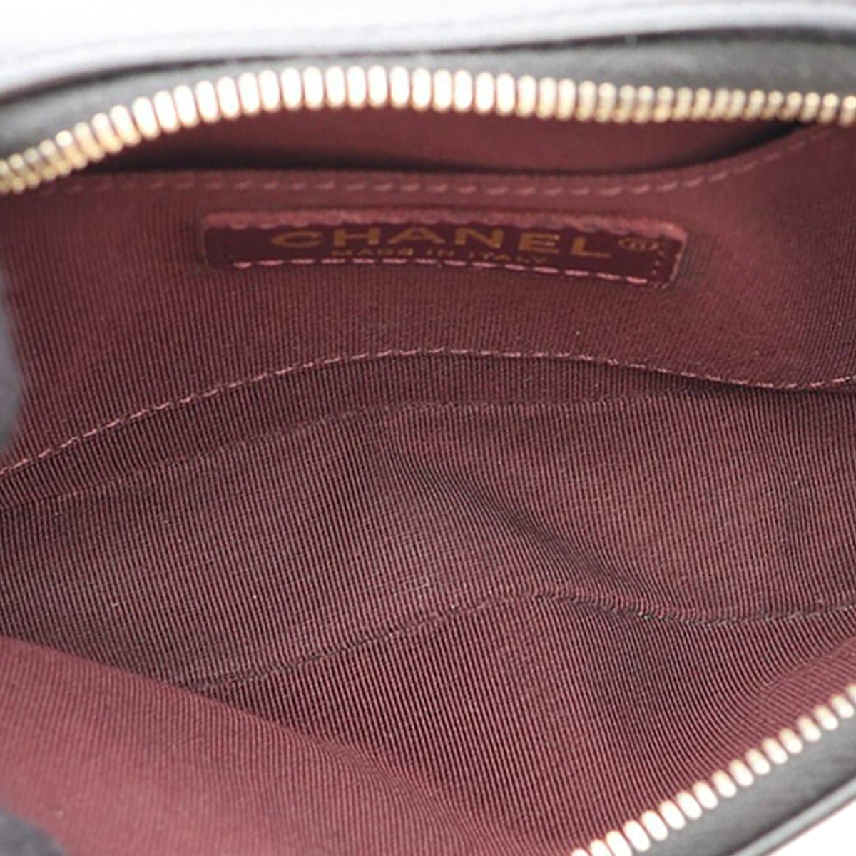 Chanel Button Up Double Zip Camera Bag