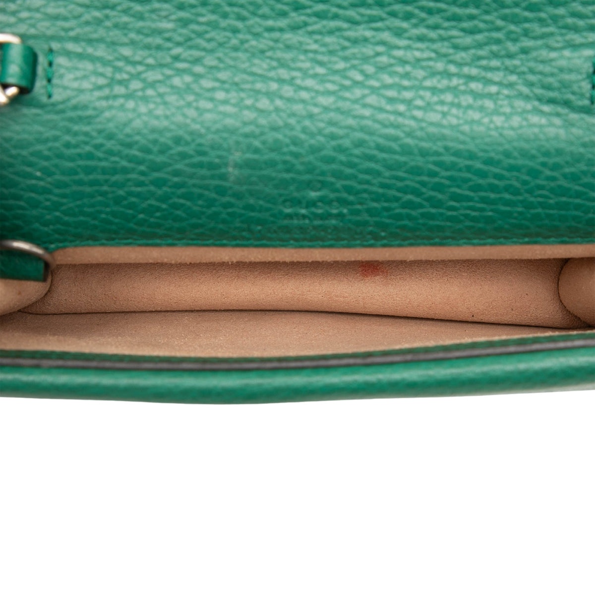 Gucci Mini Calfskin Dionysus Crossbody