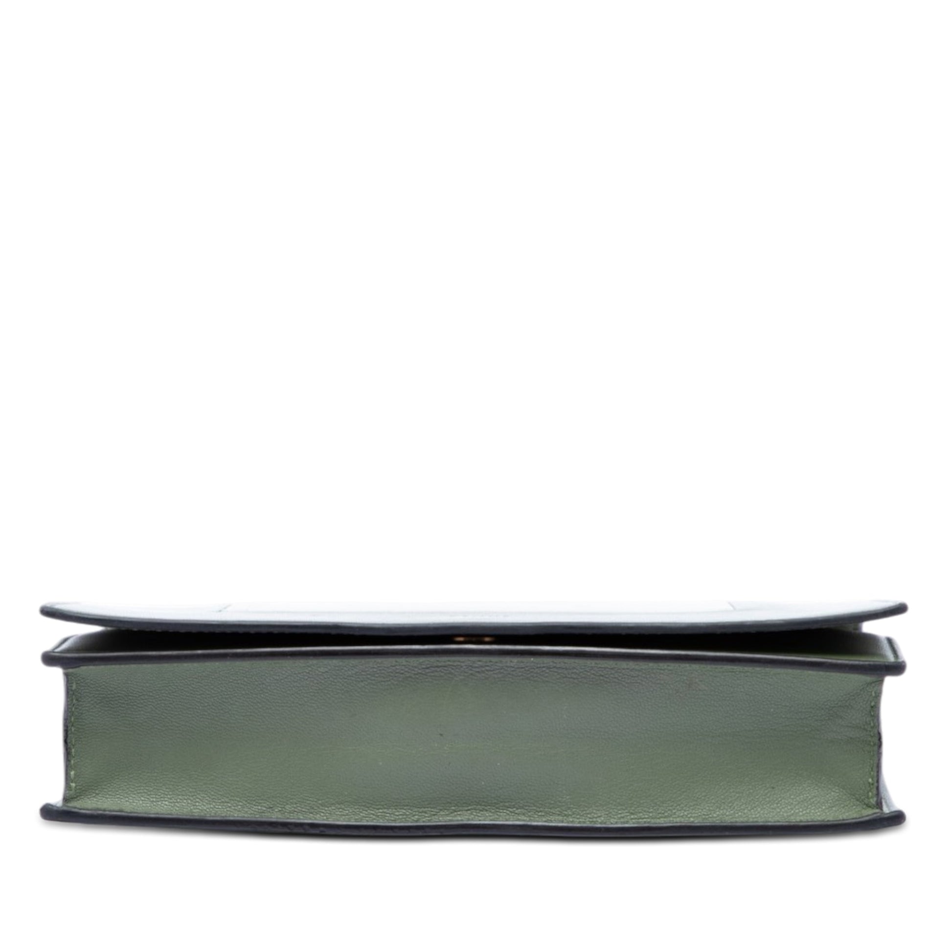 Celine Bicolor Leather Frame Wallet on Chain