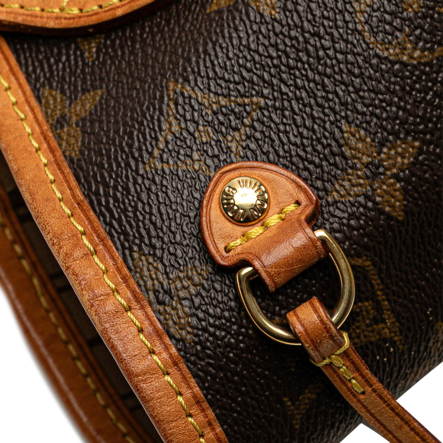 Louis Vuitton Monogram Neverfull PM